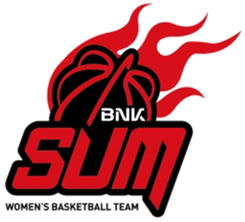 维多利亚选拔队女篮
